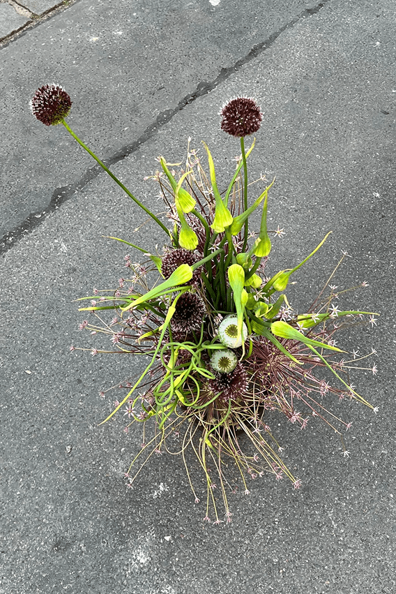 Bouquet 5